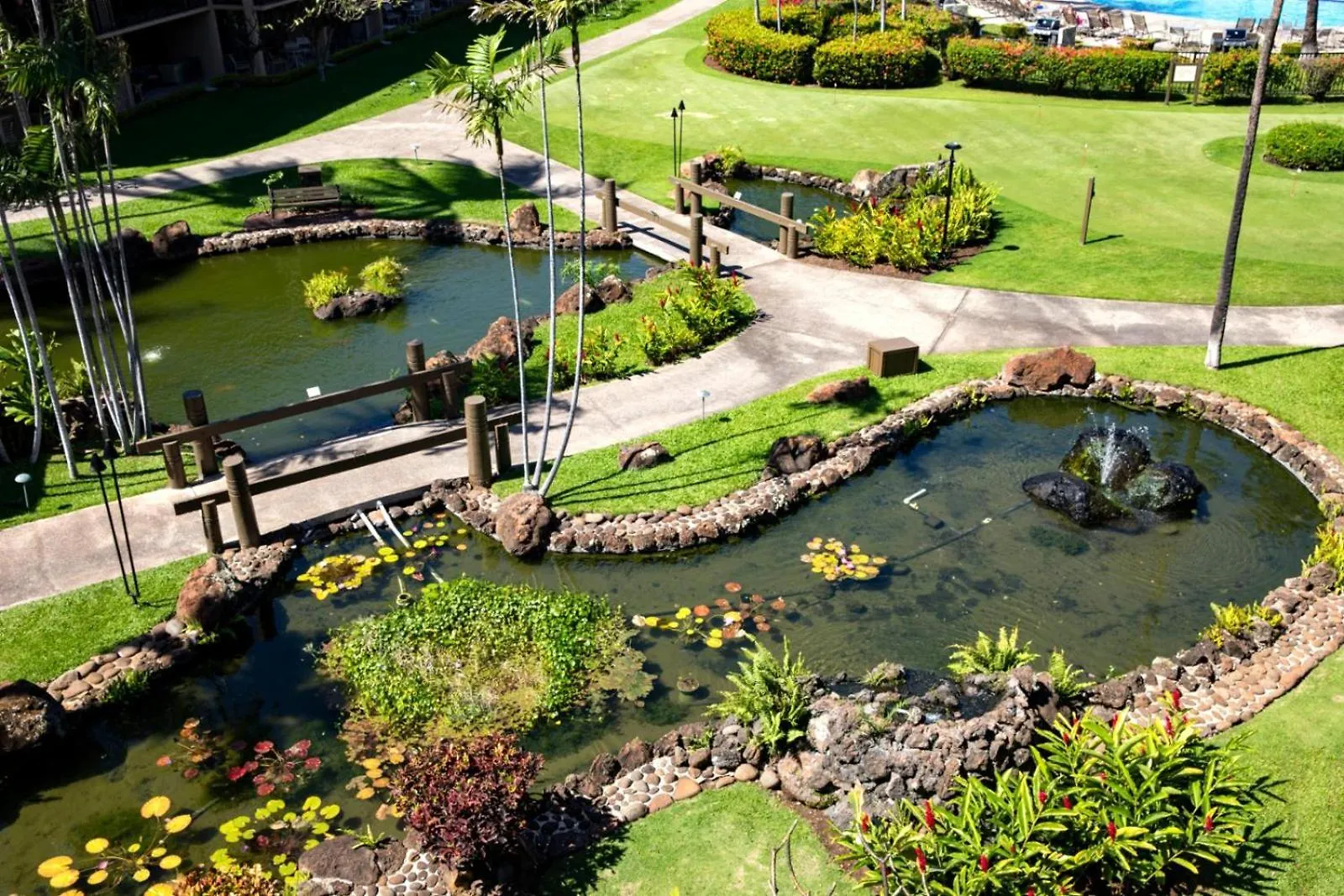 Διαμέρισμα Kbm Resorts Free Car Papakea Pkc-404 Large Bath Oceanview Fully Air Conditioned Kapalua Ηνωμένες Πολιτείες της Αμερικής